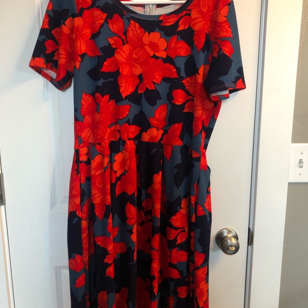 Lularoe Amelia dress with pockets!